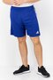 Men Sportswear Fit Training Shorts, Blue