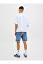JJIRICK JJIORIGINAL AM 360 SN Shorts - 3
