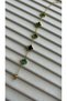 (Summer Season) Clover Model Steel Bracelet - 2