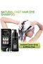 Agthyuve Dexe Hair Dye Shampoo 14.1 Fl Oz, Gray Hair Coverage, Black Hair Dye, Hair Color Shampoo, B - 7