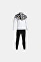 Men's Casual Tracksuit Lion Tracksuit 103771.201