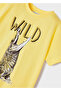 Boy's T-Shirt Shorts Set of 2 3674 - 3