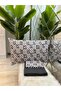 Life Double Sheet Pillow Set - 2