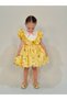 Laurel Yellow Vintage Baby Girl Dress, Birthday Dress, Photo Shoot Dress, Suitable for 0-7 Years Old