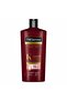 Keratin Smooth Shampoo with Argan Oil for Dry & Frizzy Hair 600 ml - 2