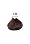 Naturalis Permanent Hair Color – Vegan, Ammonia-Free, Long-Lasting, 100% Gray Coverage, Organic - 3