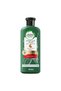 Color Protect Sulfate Free Potent Aloe Vera + Mango Natural Conditioner for Dry Hair