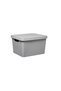Boty box with lid, plastic, 17 l