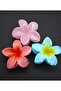 Women's Latch Lotus Buckle Set - 7