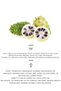 Noni & Super Nourishing Herbal Korean Tonic |   Revitalizing & Moisturizing 210 Ml- Ikore - 4