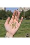 Olive Dance - 2