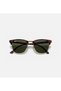 Classic Clubmaster Sunglasses Tortoise RB3016 W0366 Size 51 - 4