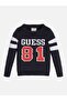Ls boy's sweater