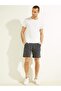 Daniel Men's Regular Fit Shorts - 3