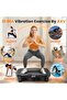 Vibration Plate Fitness Platform Exercise Machine - 4