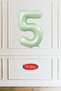 5 Years Old Green Number Balloon 16 Inch 40cm
