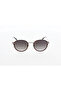 Os3650 Sunglasses