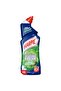 Pine Active Fresh Toilet Cleaner 1 Litre