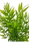 Artificial Bambusa Plant in Natural Texture White Diamond Pot - 3