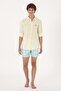 Men's Mint Sea Shorts 50299758-Vr090