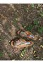 Straw Multi Buckle Women's Daily Slippers