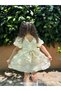 Girl Baby Girl Child Short Sleeve Back Detail Bow Special Occasion Birthday Party Wedding Holiday Dress - 5