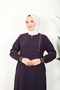 ريبانالي فيريس