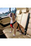Adjustable Nylon Pet Car Seat Belt Straps Vehicle Pet Safety with Buckle - 7