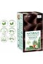 Naturalis Permanent Hair Color – Vegan, Ammonia-Free, Long-Lasting, 100% Gray Coverage, Organic - 4