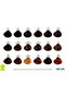 Naturalis Permanent Hair Color – Vegan, Ammonia-Free, Long-Lasting, 100% Gray Coverage, Organic - 3