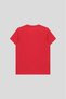 Men's Red Color 100% Cotton Crew Neck Standard Fit Regular Cut T-Shirt - 2