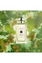 عطر إنجلش أوك آند هازلنت من جو مالون EDC 30 مل - 4