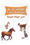 مجموعة بطاقات 4 مجموعة - 4