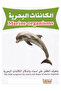 مجموعة بطاقات 4 مجموعة - 2