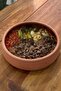 Transparent Glazed Earthenware Pan-Oven Tray Casserole Dish Medium Size 31X9 cm - Compatible with Household Electric Ovens