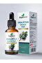 Eucalyptus Oil 10 Ml, Undiluted 100% Pure and Natural Eucalyptus Oil Without Additives