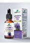 Lavender Essential Oil 10 ml 100% Pure and Natural (Lavender Essential Oil)