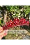 Flora Ruby Red Crystal Stone Luxury Design Engagement Bridal Tiara Metal Crown with Peaked Authentic Motif - 3