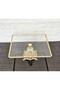 Glass 2-Pack Square Serving Plate-Presentation Plate-Speech Tray-Presentation Tray-Dump Gold Frame 22+27cm - 2