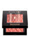 Rock Star Blush - 3