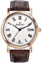 Analog White Dial Men's Watch, brown, Classic