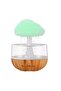 Cloud Rain Humidifier