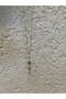 Women's Steel Y Necklace