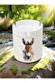 Donkey Printed 3-Piece Ceramic Ashtray Ash Tray - Ashtray Models, Ashtrays, Odorless Ashtray - 2