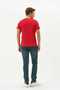 Men's Red Color 100% Cotton Crew Neck Standard Fit Regular Cut T-Shirt - 7
