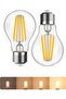 2 Pack E27 0-100% Smooth Dimmable LED Edison Bulbs, 2700K Warm White, 8W - 2