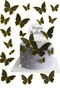 Gray 42-Piece Butterfly Figure Cake Decoration Set – Colorful 3D Butterfly Figure Cake and Decoration Ornament