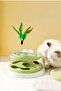 Interactive Cat Toy Spring rocking double-layer Rolling Tower，Track Ball with Feather Teaser