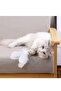Automatic Interactive Cat Feather Toy,Floor-Standing Teaser Rod for Cats,Powerful Suction Cup - 3