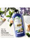 Bio: Renew Purify Blue Ginger Conditioner 400 ml - 2